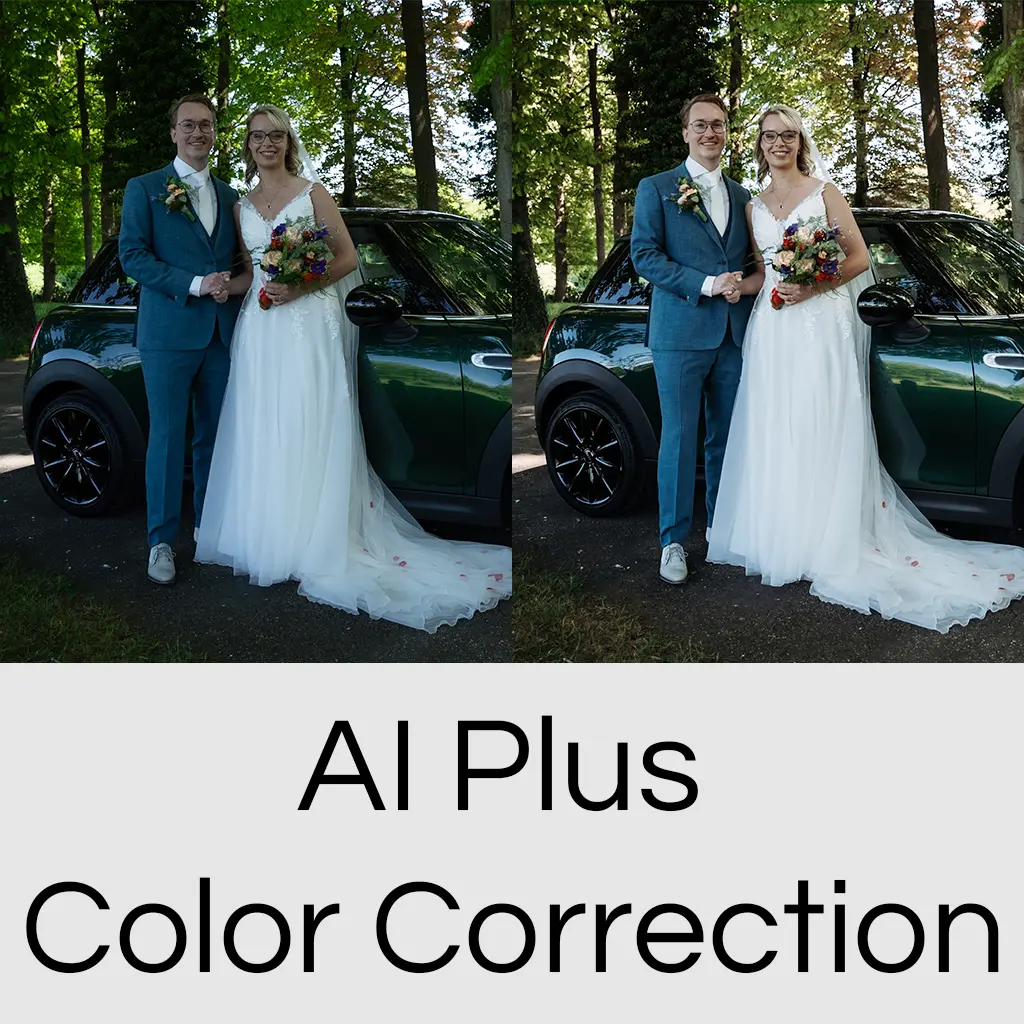 AI Plus Color Correction