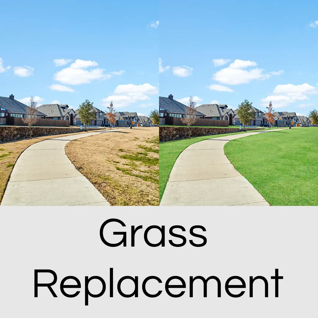Grass Replacement